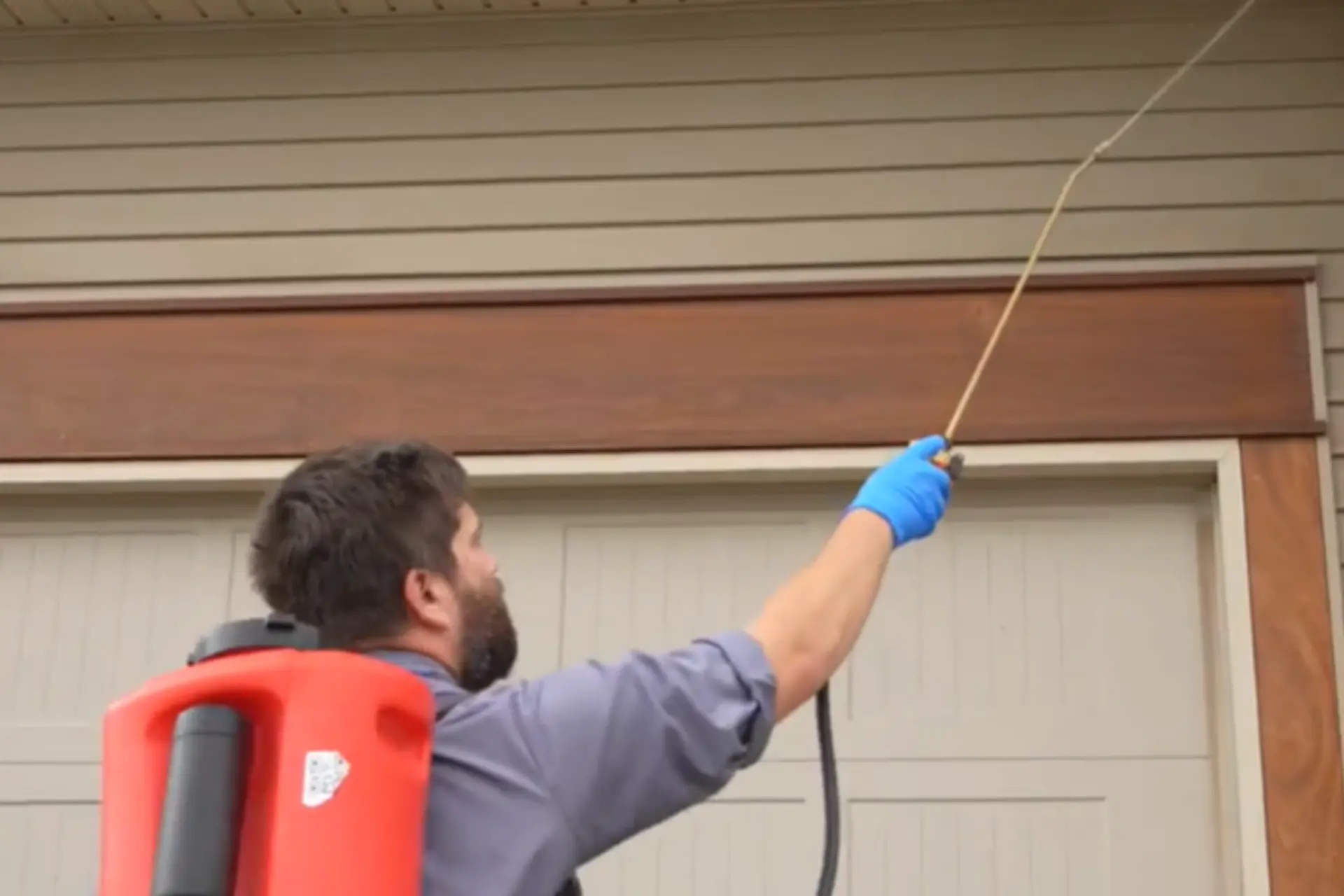 A Man Supraying for pest control