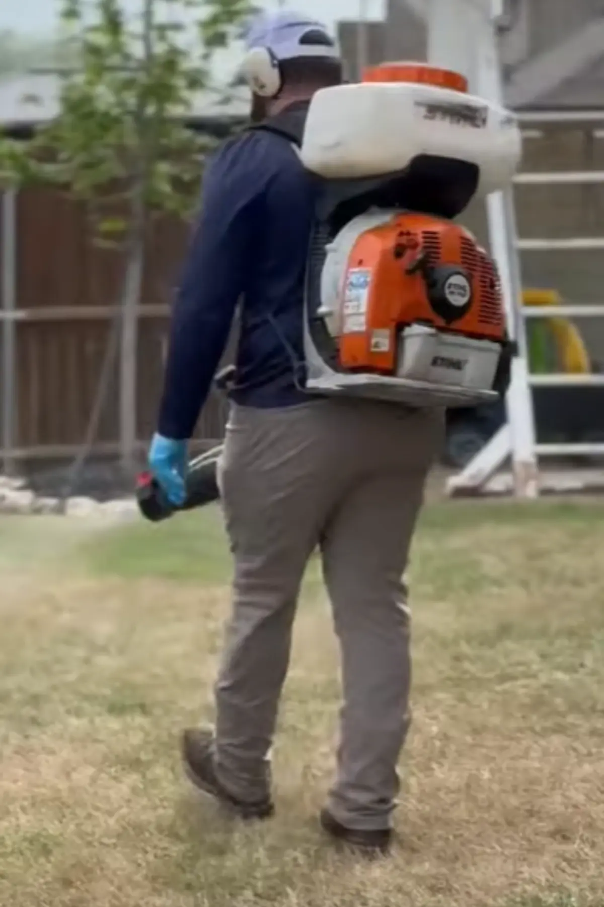 Homes cleaning from insects