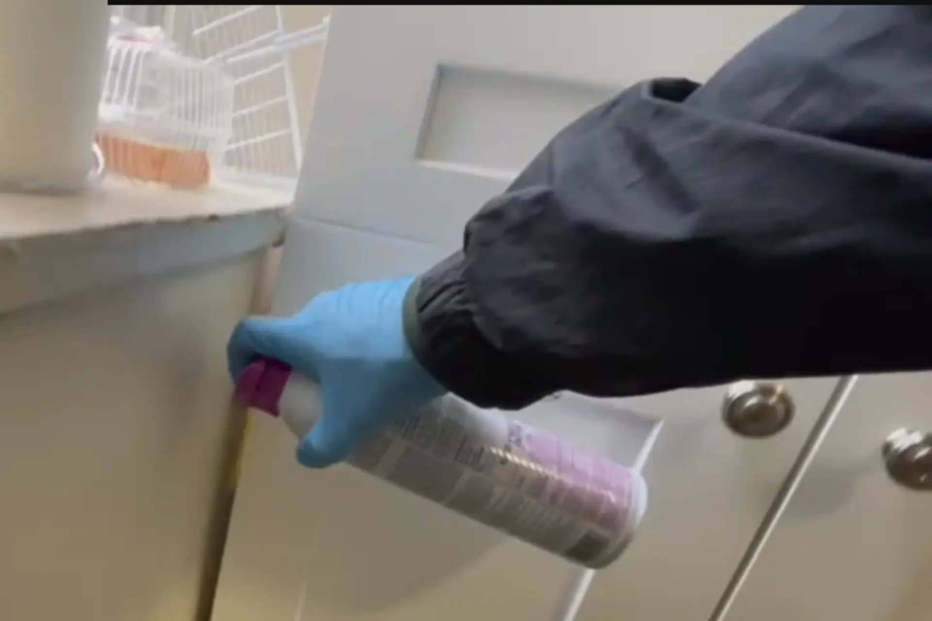 Pest control in homes